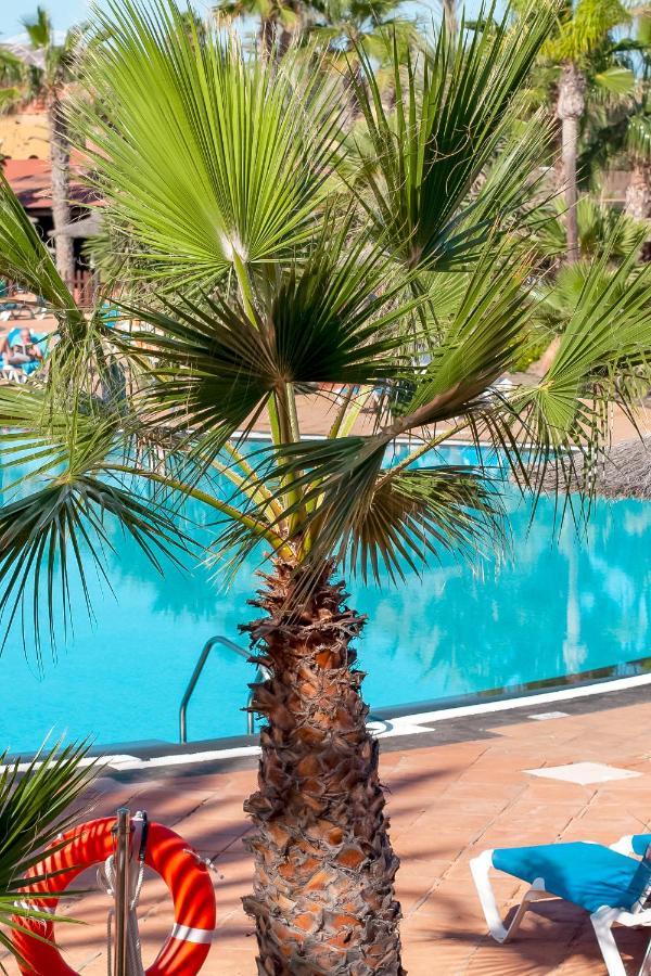 Fuerteventura Apartments Tamarindo 1 Corralejo Buitenkant foto